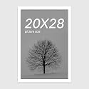 Art Street Synthetic Document Large Size Wall Photo Frame, Big Frames For Wall Artwork, Certificates, Picture & Photographs Home Decor (White, 20x28 Inch)