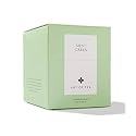 Art of Tea Mint Green Tea Bags 12 Count, Organic Peppermint &amp; Spearmint Green Tea Sachets, Premium Pyramid Tea Bags for Hot or Iced Tea, Smooth Refreshing Green Tea with Moderate Caffeine