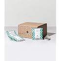 Art of Tea Pacific Coast Mint Tea Bags 50 Count Organic Peppermint Herbal Tea, Refreshing Caffeine Free Mint Tea for Relaxation, Digestion &amp; Daily Wellness, Premium Pyramid Sachets