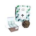 Art of Tea White Coconut Creme White Tea Bags, 50 Pyramid Sachets, Organic White Tea with Coconut &amp; Vanilla Flavor, Low Caffeine Tropical Dessert Tea