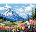 Art Therapy Pcn32 Paint by Number Kit 15 x 20 Inch Linen Canvas for Adults &amp; Kids | DIY 2 Set of Acrylic Oil Painting Colors with Brushes for Stress Relief | Easy for Beginners (Alpine Blossom Valley)