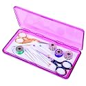 ArtBin Sew-Lutions Slim Line Magnetic Craft Box, Translucent Raspberry