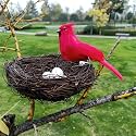 Bird Nest Decor, 1Set Simulation Bird Nest with Bird and Eggs