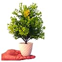 Artificial Flower with Pots for Home Decoration