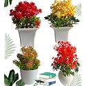 Artificial Flowers for Decoration with Pot Combo
