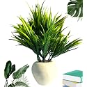 Artificial Green Plants for Decoration with Pot