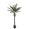 momoplant Artificial Palm Tree 5 Ft Tall UV Rated Faux Tropical Palm Plant in Pot for Indoor or Outdoor Home Office Decor