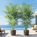 Artificial Palm Tree 6ft Tall Fake Palm Tree Indoor Decor with 18 Trunks and Real Bark Design Faux Tropical Areca Palm Silk Floor Plant in Pot for Home Office Living Room Bedroom Decor 2pcs