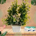 Artificial Plants for Home Decor with Pot