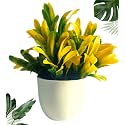 Artificial Plants for Home Decor with Pot
