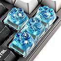 Artisan Resin Keycap Cute Paw Cat - 1U OEM Profile Aesthetic Keycap