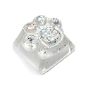 Artisan Resin Keycap Cute Paw Cat - 1U OEM Profile Aesthetic Keycap