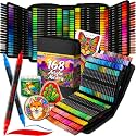 ARTISTRO 168 Acrylic Paint Markers, Dual-Tip Paint Pens, Black Bag