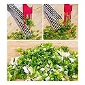 ARTO Multi-Functional Stainless Steel Kitchen Knives 5 Layers Scissors Cut Herb Spices Cooking Tools Vegetable Cutter with Cleaning Brush (Colour Multi)