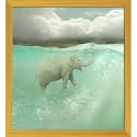 ArtzFolio Funny Elephant Swimmer | Premium Canvas Painting for Bedroom &amp; Living Room | Golden Wood Frame | 18 x 19.6 inch (46 x 50 cms)