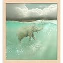 ArtzFolio Funny Elephant Swimmer | Premium Canvas Painting for Bedroom &amp; Living Room | Natural Brown Wood Frame | 16 x 17.4 inch (41 x 44 cms)