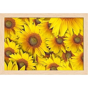 artzfolio sunflower with background  paper wall poster natural brown frame with acrylic glass  19 x 13 inch 48 x 33 cms