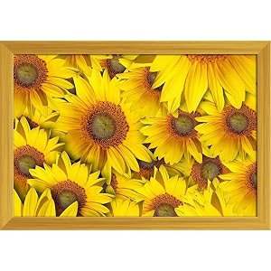artzfolio sunflower with background  paper wall poster golden frame with acrylic glass  13 x 9 inch 33 x 23 cms