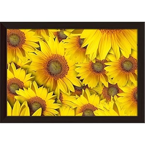 artzfolio sunflower with background  paper wall poster dark brown frame with acrylic glass  13 x 9 inch 33 x 23 cms