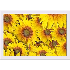 artzfolio sunflower with background  paper wall poster white frame with acrylic glass  19 x 13 inch 48 x 33 cms