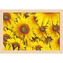 ArtzFolio Sunflower With Background | Paper Wall Poster Natural Brown Frame with Acrylic Glass | 13 x 9 inch (33 x 23 cms)