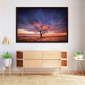 artzfolio tree in the flinders ranges of south australia  premium canvas painting for bedroom amp living room  dark brown wood frame  175 x 12 inch 44 x 30 cms