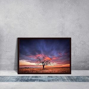 artzfolio tree in the flinders ranges of south australia  premium canvas painting for bedroom amp living room  dark brown wood frame  235 x 16 inch 60 x 41 cms