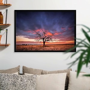 artzfolio tree in the flinders ranges of south australia  premium canvas painting for bedroom amp living room  black wood frame  175 x 12 inch 44 x 30 cms