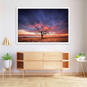 artzfolio tree in the flinders ranges of south australia  premium canvas painting for bedroom amp living room  white wood frame  235 x 16 inch 60 x 41 cms