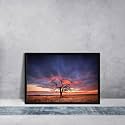 ArtzFolio Tree in the Flinders Ranges of South Australia | Premium Canvas Painting for Bedroom & Living Room | Black Wood Frame | 23.5 x 16 inch (60 x 41 cms)