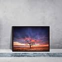 ArtzFolio Tree in the Flinders Ranges of South Australia | Premium Canvas Painting for Bedroom &amp; Living Room | Dark Brown Wood Frame | 23.5 x 16 inch (60 x 41 cms)