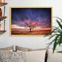 ArtzFolio Tree in the Flinders Ranges of South Australia | Premium Canvas Painting for Bedroom &amp; Living Room | Golden Wood Frame | 23.5 x 16 inch (60 x 41 cms)