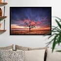 ArtzFolio Tree in the Flinders Ranges of South Australia | Premium Canvas Painting for Bedroom &amp; Living Room | Black Wood Frame | 17.5 x 12 inch (44 x 30 cms)