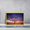 ArtzFolio Tree in the Flinders Ranges of South Australia | Premium Canvas Painting for Bedroom &amp; Living Room | Golden Wood Frame | 17.5 x 12 inch (44 x 30 cms)