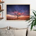 ArtzFolio Tree in the Flinders Ranges of South Australia | Premium Canvas Painting for Bedroom &amp; Living Room | Natural Brown Wood Frame | 17.5 x 12 inch (44 x 30 cms)