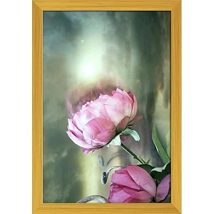 artzfolio two pink roses with a cloudy sky  paper wall poster golden frame with acrylic glass  13 x 19 inch 33 x 48 cms