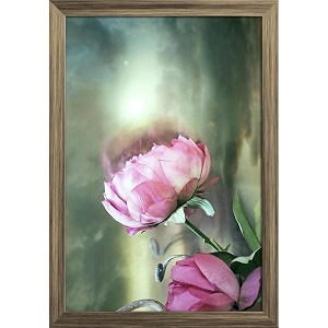 artzfolio two pink roses with a cloudy sky  paper wall poster antique golden frame with acrylic glass  13 x 19 inch 33 x 48 cms