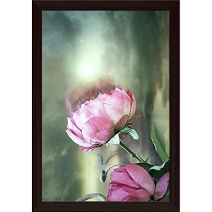 artzfolio two pink roses with a cloudy sky  paper wall poster dark brown frame with acrylic glass  13 x 19 inch 33 x 48 cms
