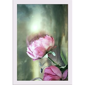 artzfolio two pink roses with a cloudy sky  paper wall poster white frame with acrylic glass  9 x 13 inch 23 x 33 cms