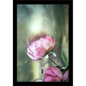 artzfolio two pink roses with a cloudy sky  paper wall poster black frame with acrylic glass  9 x 13 inch 23 x 33 cms