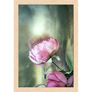 artzfolio two pink roses with a cloudy sky  paper wall poster natural brown frame with acrylic glass  9 x 13 inch 23 x 33 cms