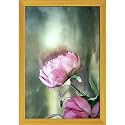 ArtzFolio Two Pink Roses With A Cloudy Sky | Paper Wall Poster Golden Frame with Acrylic Glass | 9 x 13 inch (23 x 33 cms)