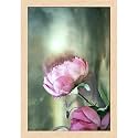 ArtzFolio Two Pink Roses With A Cloudy Sky | Paper Wall Poster Natural Brown Frame with Acrylic Glass | 9 x 13 inch (23 x 33 cms)