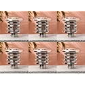 Arus Metal Antique Design Waterproof Ring Shaped Silver Outdoor Gate Light for Home (Silver-Transparent, Pack of 6 Lamp)