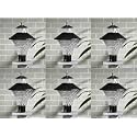 Arus Modern Design Waterproof Cone Shaped Black Outdoor Gate Lamp for Home (Black-Transparent, Pack of 6 Lamp)