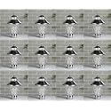 Arus Modern Design Waterproof Cone Shaped Silver Outdoor Gate Light for Home (Silver-Transparent, Pack of 12 Light)