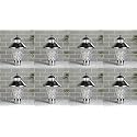 Arus Modern Design Waterproof Cone Shaped Silver Outdoor Gate Light for Home (Silver-Transparent, Pack of 8 Light)