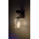 Arus Wooden and Glass Flower Leaf Design Work Transparent Shade Downlight Wall Lamp for Home (Transculent ; Pack of 1)