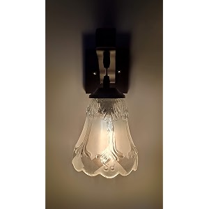 arus wooden and glass flower shape transparent shade downlight fancy wall lamp for home transparent  pack of 2