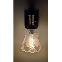 Arus Wooden and Glass Flower Shape Transparent Shade Downlight Fancy Wall Lamp for Home (Transparent ; Pack of 2)